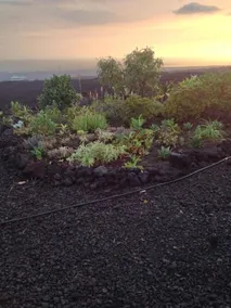 Million Dollar View in Gated Community - Image 5