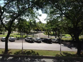 Studio Tiare Papeete centre - Image 4