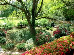 Woodridge Bed & Breakfast of Louisiana - Image 2