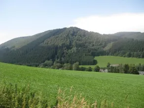 Pension-Gästehaus Waldhof - Image 2