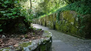 La Casa Delle Querce San Leonardo de Siete Fuentes - Image 4