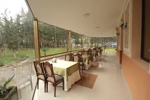 Hostel Botanical Garden - Image 4