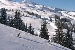 Studio Dents du Midi 28 - Image 4