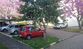 Apartamento Lindo - Image 2