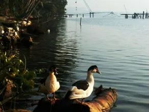 Munroe Days Homestay - Image 2