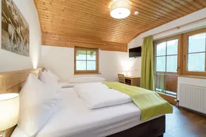 Mountain Chalet on a Skiing Area in Saalbach With Sauna - Image 2