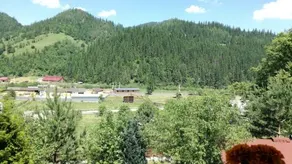 Flori De Bucovina - Image 2