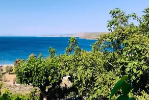 Thalassia Studios - Image 4