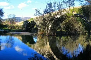 Casa Da Ferreirinha - Image 4