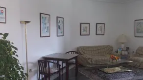 Palmero - Image 3