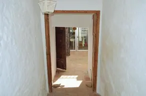 The White Olive - Image 4
