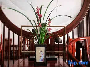 Anren Town Zhiren Bieyuan Residence - Image 4