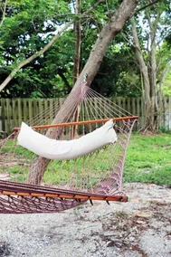 The Parrot Nest - Image 2