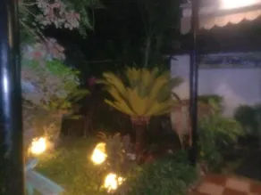 Hotel Sri Aurobindo Nivas - Image 4