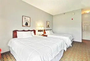 Gasthof Amish Inn - Image 1