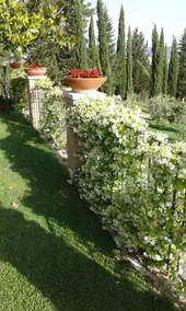 La Piaggia - Image 2