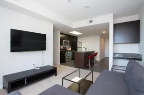 Pentagon City Luxury Apartment - Image 4