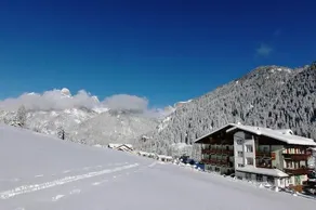 Hotel Sassleng - Image 2