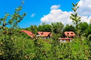 Apartments Zaboky Village - Image 3