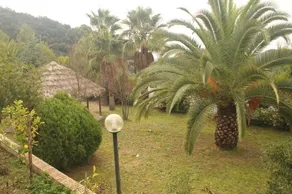 Fattoria Albamarina - Image 2