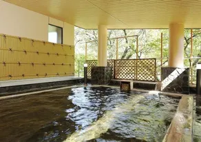 Itoen Hotel Shiobara - Image 4
