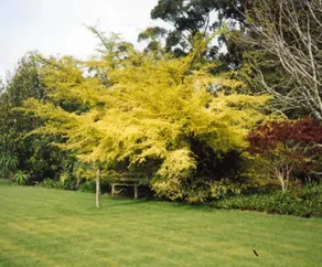 Wanawong Retreat - Image 4