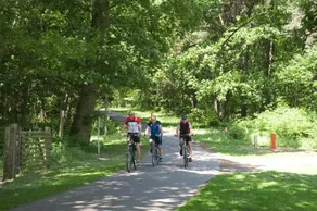 De Kerselaar - Image 5