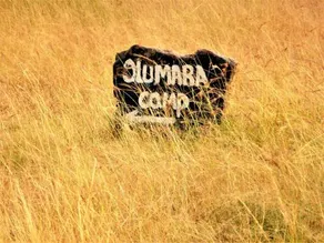 Olumara Tented Camp - Image 2