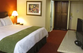 Lexington Hotel Indianapolis Airport - Image 1