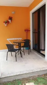 Flor De Jurere - Image 2