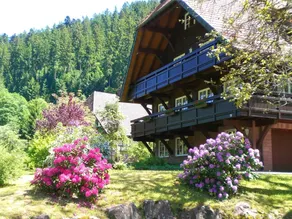 Cozy Apartment in Bad Rippoldsau-schapbach With a View - Image 4