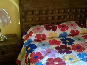 Casa Palmas - Image 4