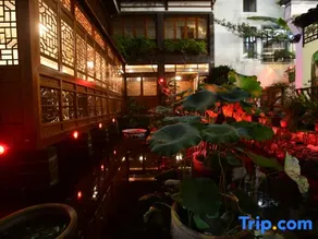 Photographer Boutique Homestay - Image 3