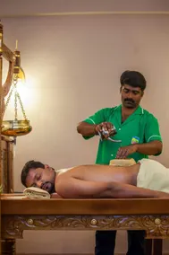 The Ayurvedic Village - Image 5