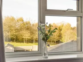 Stag View - Image 2
