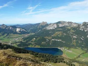 Schatz Martin - Image 3