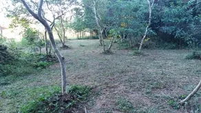 Holztel - Image 3