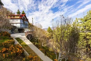 Zostel Homes Kotgarh (Shimla) - Image 3