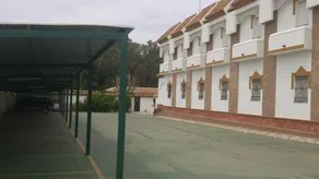 Palmero - Image 4
