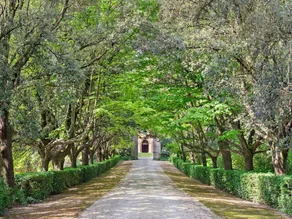 Traditional Villa in Filottrano With Swimming Pool - Image 4