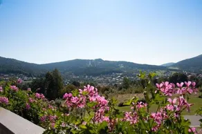 Haus Bergwald - Image 3