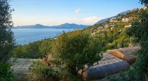 Seaside Faralya - Image 4