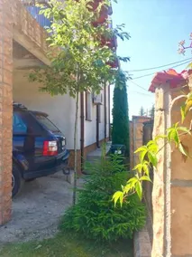 Casa De Vacanta Elena - Image 4