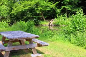Camping Ile De Boulancourt - Image 3