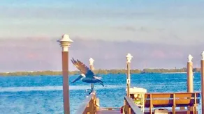 PAG Beachhouse Rentals - Image 3