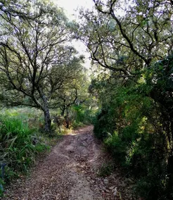 Vereda de las Cruces - Image 2