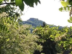 Tana Dell'Elfo B&B - Image 2