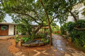 Temple Tree Retreat - Image 2