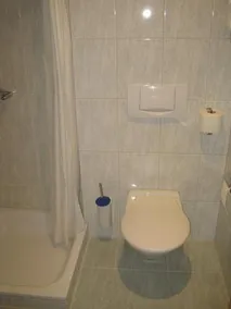 Hotel des Alpes - Image 4