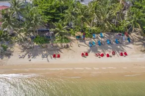 King Busch Reggae Beach - Image 3